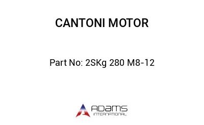 2SKg 280 M8-12 2SKg 280 M8-12