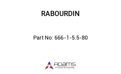 666-1-5.5-80