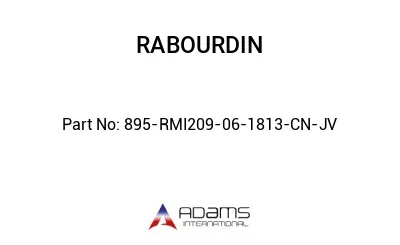 895-RMI209-06-1813-CN-JV