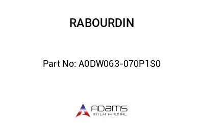 A0DW063-070P1S0